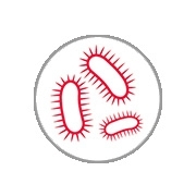 Icon von Bakterien