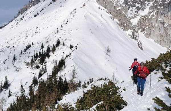 Wanderer (Tanja Pußwald in Begleitung) erklimmen einen verschneiten Berg