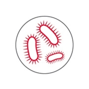 Icon Bakterien