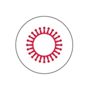 Virus Icon