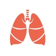 Illustration in orange einer Lunge