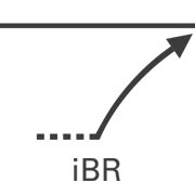 Icon iBR