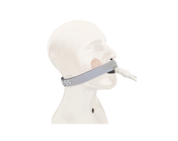 Mannequin-Kopf mit ET-Tuben-Fixation