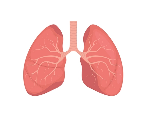 Grafik Lunge